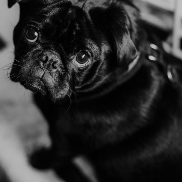 許せない気持ちを認める