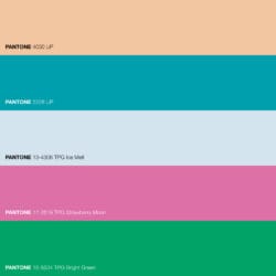 運気が上がる色を5色選ぶ